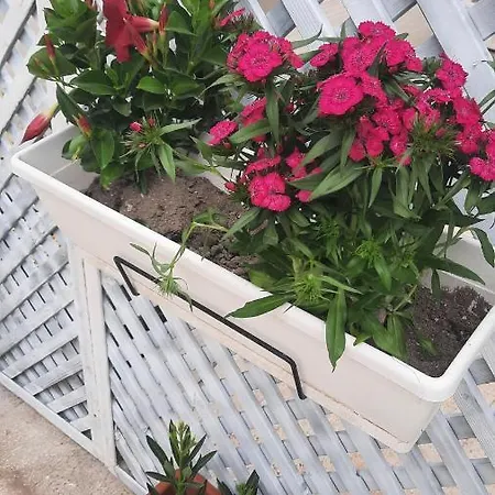 Casacecilia Relax Guest house *