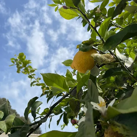 Casacecilia Relax Syracuse