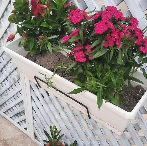 Casacecilia Relax Gasthof 4*