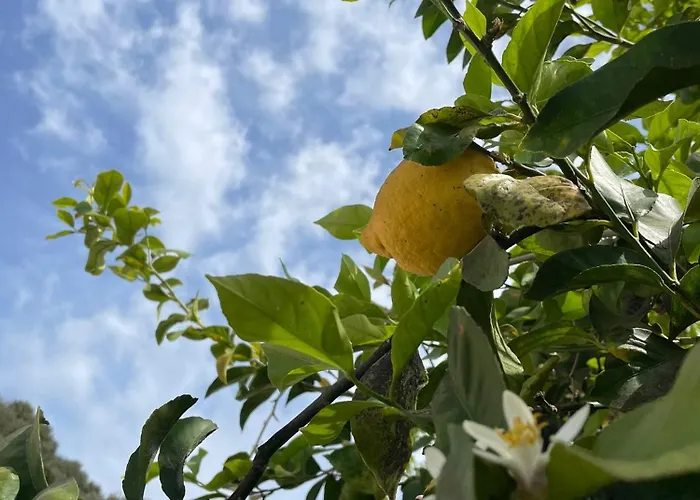 Casacecilia Relax Syrakus